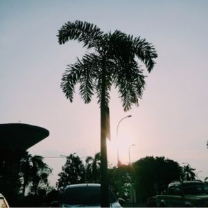 Meet your Posher, Clare